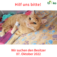 thumb_Fundtiere K-26355 thumb_Fundtiere K-26355
